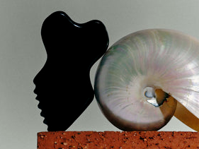 一块刮痧板卖到129美元?这个品牌估值超2亿美元爆火欧美!