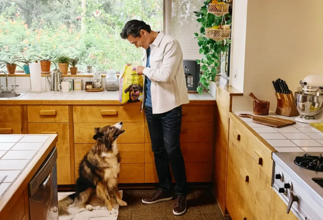 宠物食品出海细分策略指南