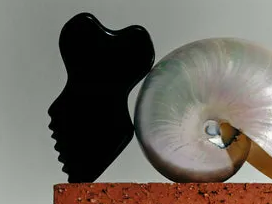 养生＋美容：健康个护赛道的差异化出海策略