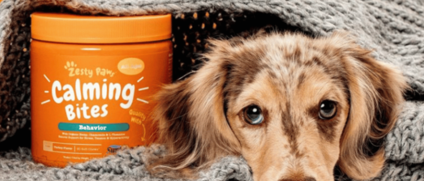 这款宠物软糖如何拥有23万回头客？