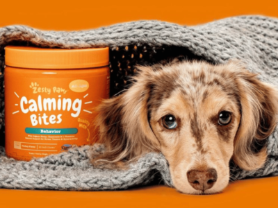 这款宠物软糖如何拥有23万回头客?