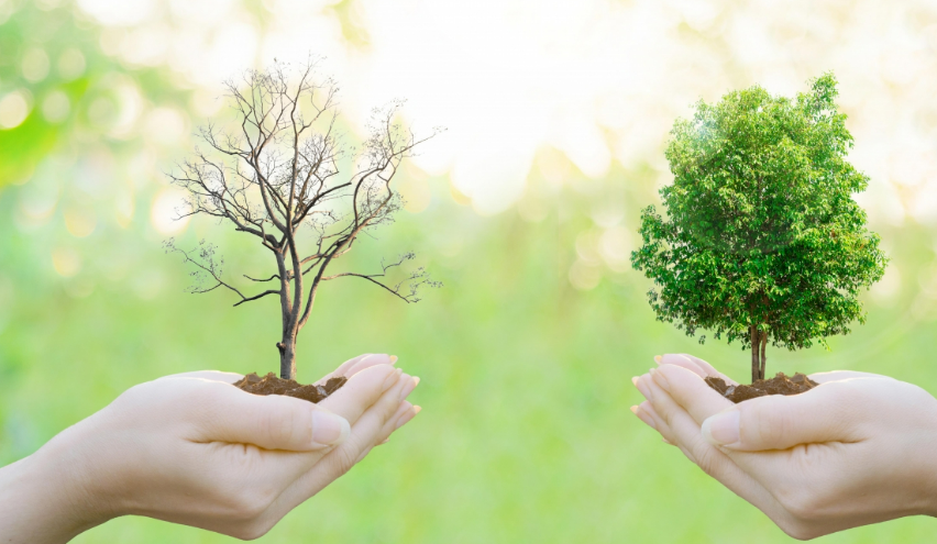 越南农业展会有哪些？优质越南农业展会汇总推荐！