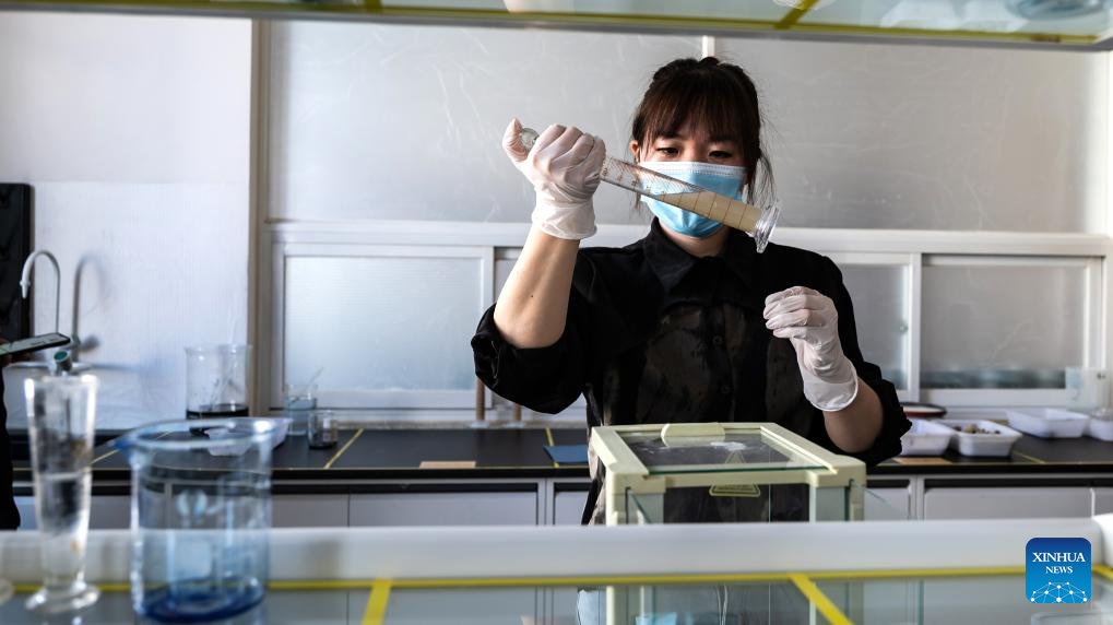 图片 200万吨卖遍140国!小县城如何统治宠物市场