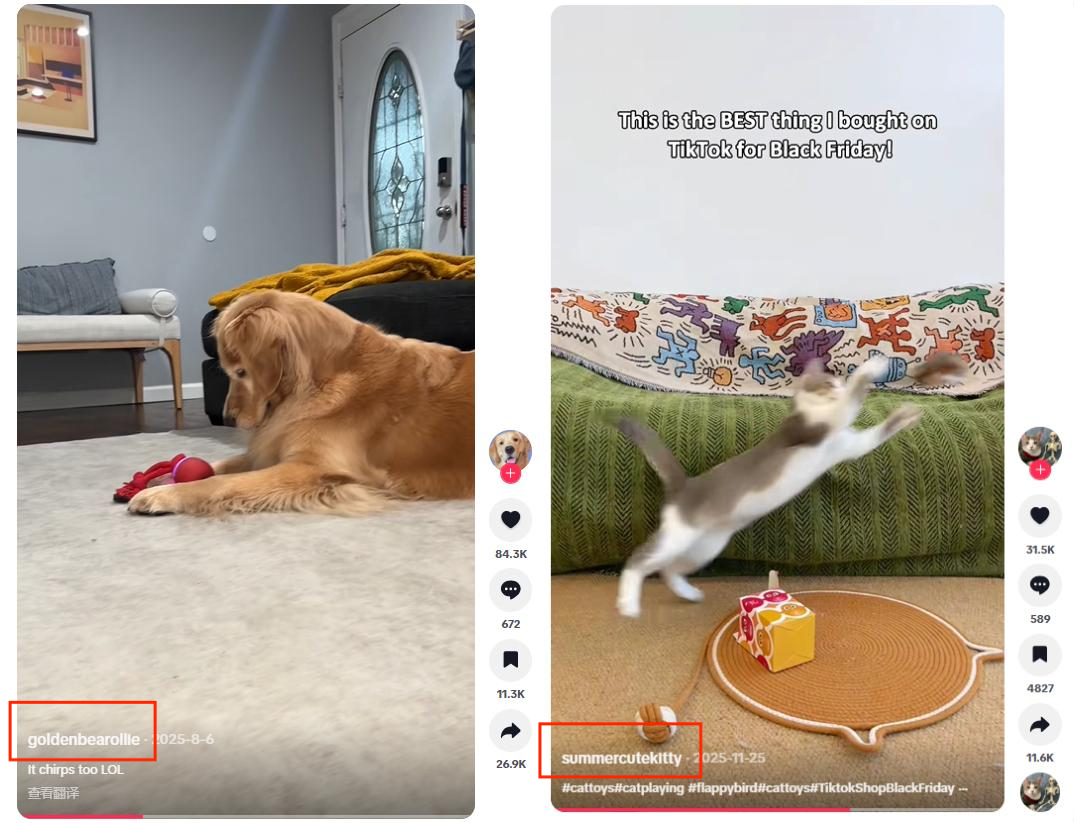 又一跨境品牌爆火，仿生宠物玩具成热门，在TikTok年收超300万美金！