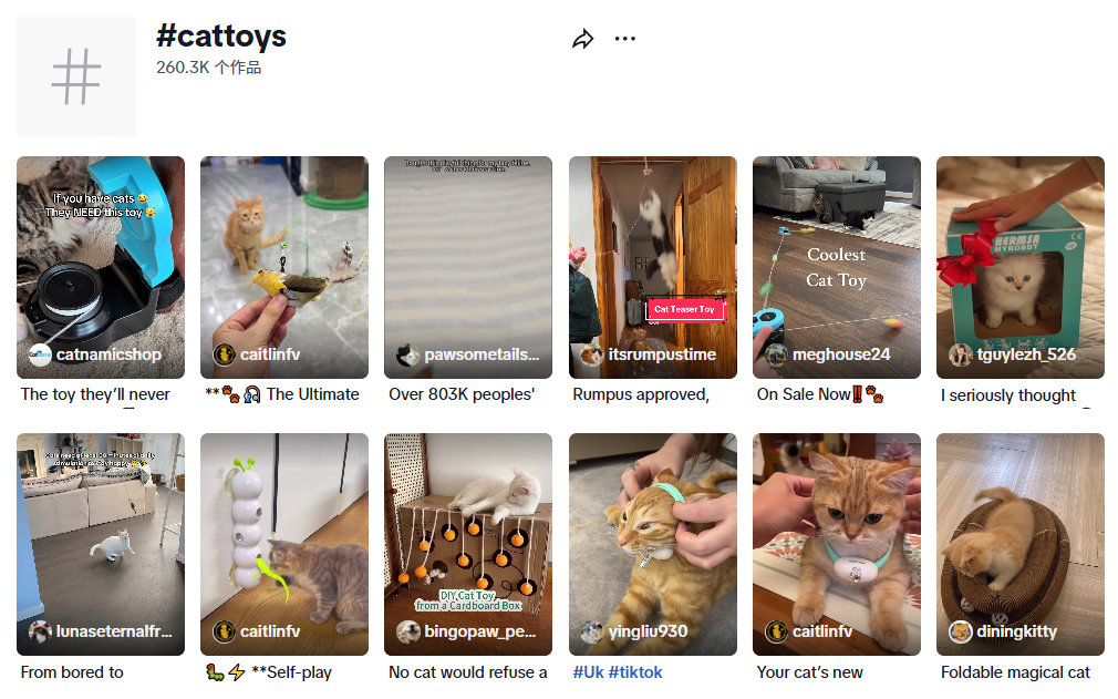 又一跨境品牌爆火，仿生宠物玩具成热门，在TikTok年收超300万美金！