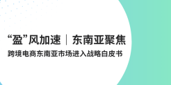 跨境电商东南亚市场进入战略白皮书