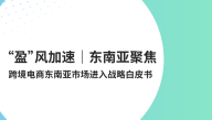 跨境电商东南亚市场进入战略白皮书