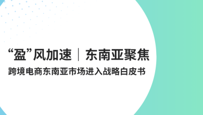 跨境电商东南亚市场进入战略白皮书
