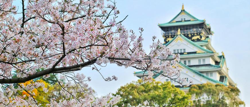 开个日本公司不难,运营成本你扛不住啊!