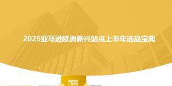 2025亚马逊欧洲新兴站点上半年选品宝典