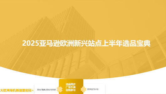 2025亚马逊欧洲新兴站点上半年选品宝典