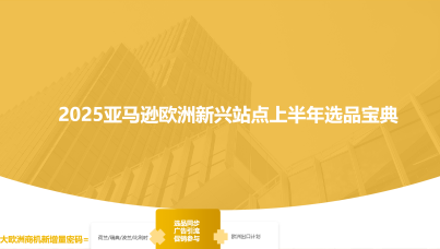 2025亚马逊欧洲新兴站点上半年选品宝典