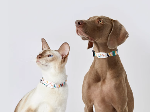 年销超10亿！智能宠物赛道又有新品爆火