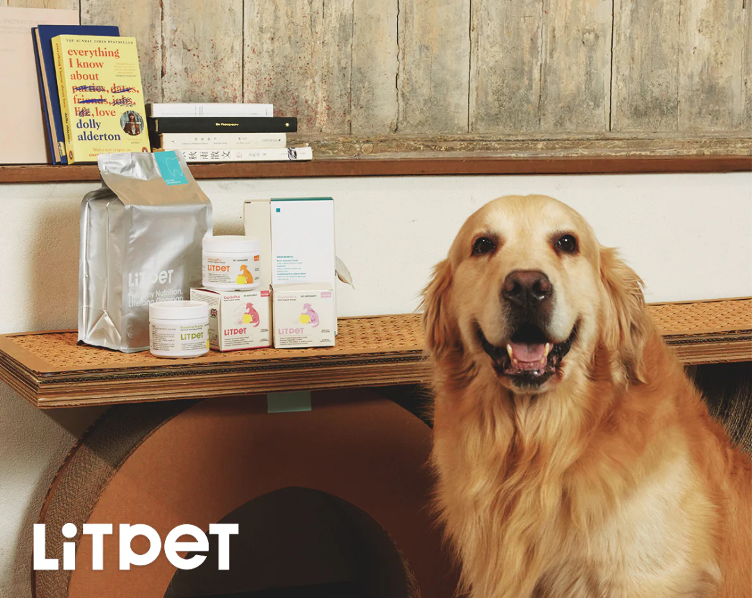 95后学霸组团为宠物“养生”，3个月赚百万