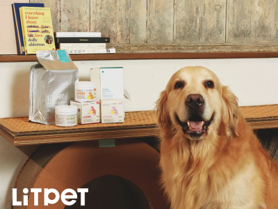 95后学霸组团为宠物“养生”，3个月赚百万