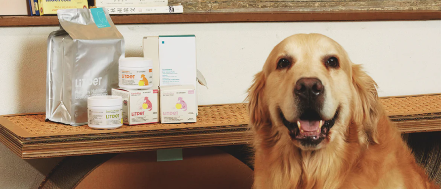 95后学霸组团为宠物“养生”，3个月赚百万