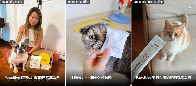 95后学霸组团为宠物“养生”，3个月赚百万