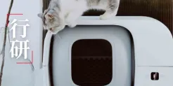 众筹破140万美元，Furbulous拿下海外猫主