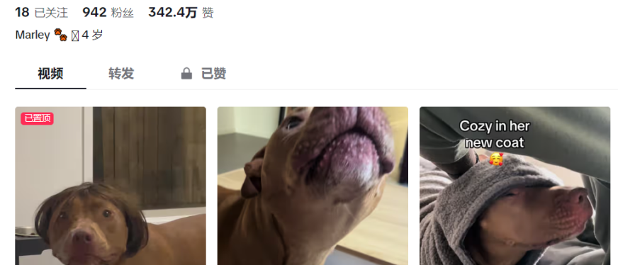 百万曝光量！这款冷门产品在TikTok疯狂刷屏