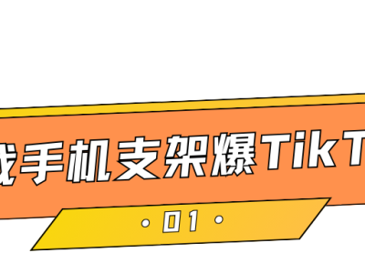 视频播放超千万，<em>TikTok</em>上一款车载配件产品持续走红！