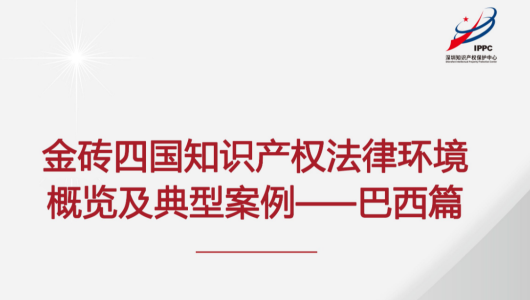 金砖四国知识产权法律环境概览及典型案例——巴西篇
