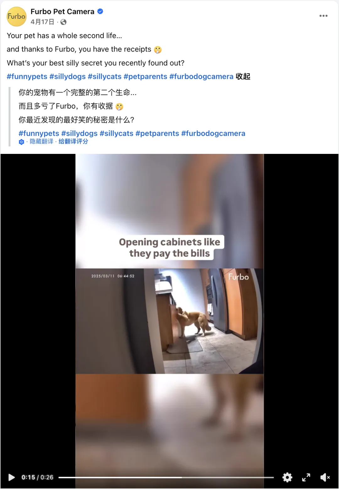 从“远程喂零食”到AI宠物陪伴：Furbo如何在全球宠物科技赛道脱颖而出？