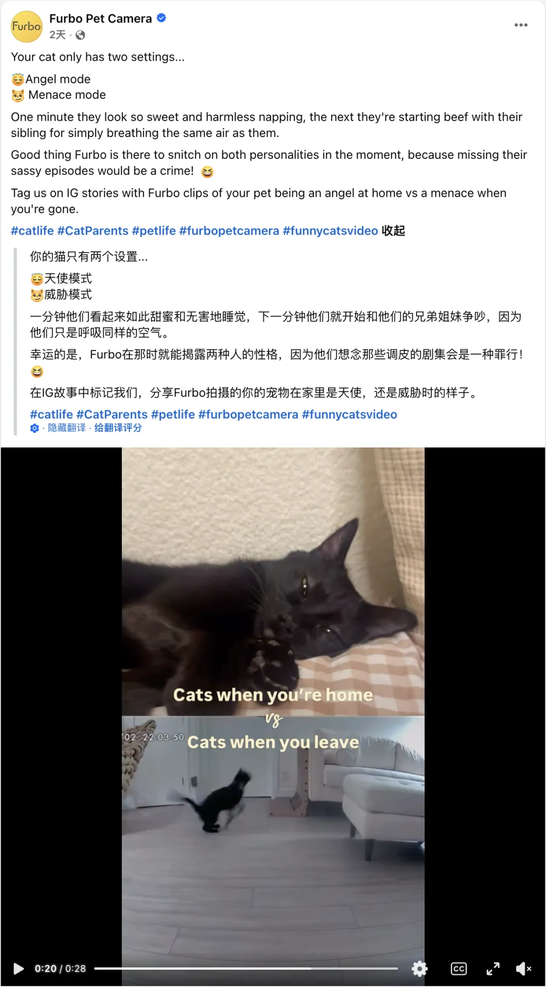 从“远程喂零食”到AI宠物陪伴：Furbo如何在全球宠物科技赛道脱颖而出？
