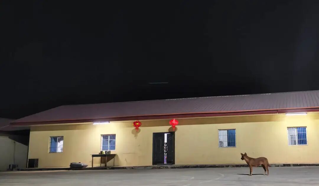 图片 从刚果到迪拜:中国企业出海潮下的外派青年生存图鉴