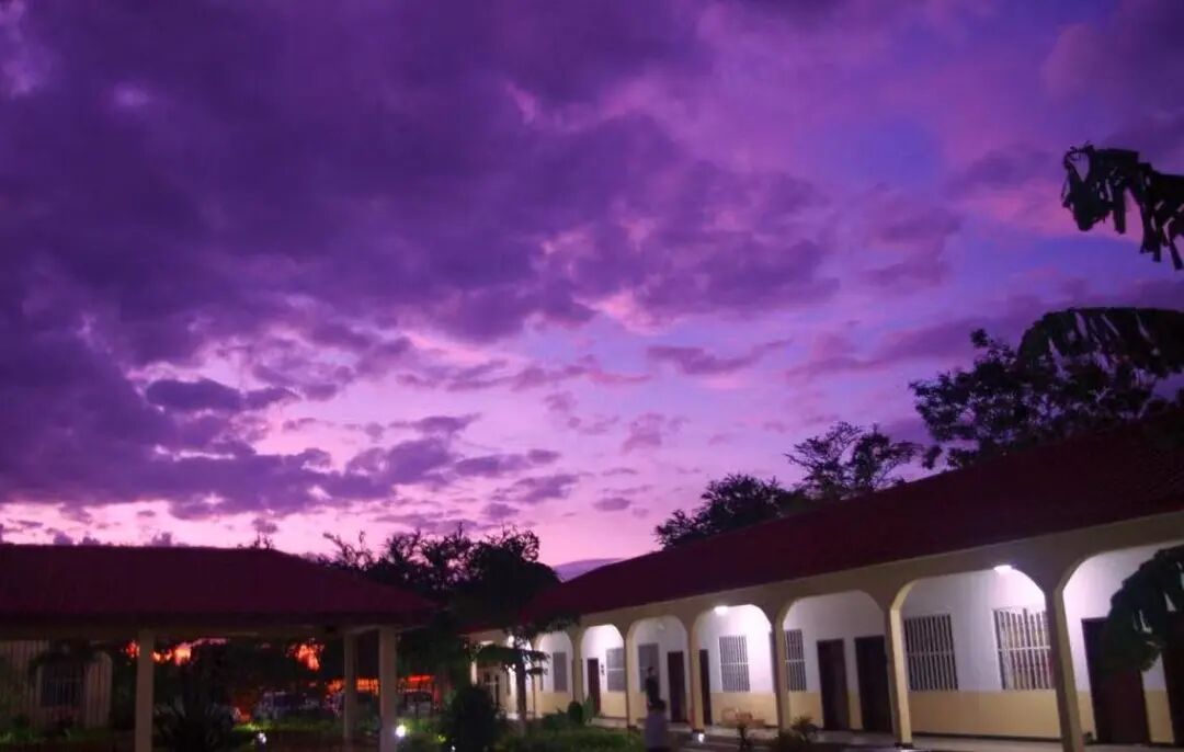 图片 从刚果到迪拜:中国企业出海潮下的外派青年生存图鉴