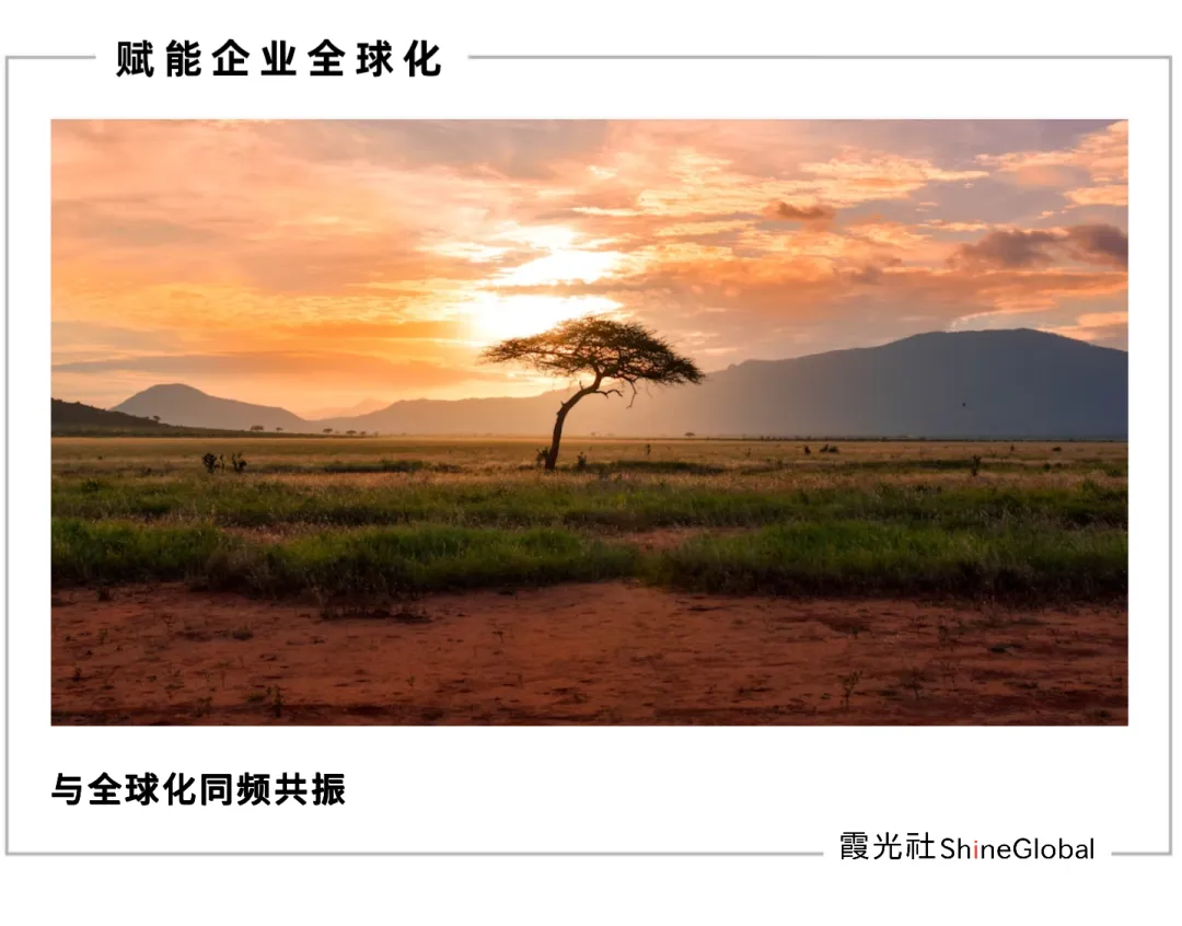 图片 从刚果到迪拜:中国企业出海潮下的外派青年生存图鉴