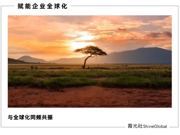 从刚果到迪拜：中国企业出海潮下的外派青年生存图鉴​