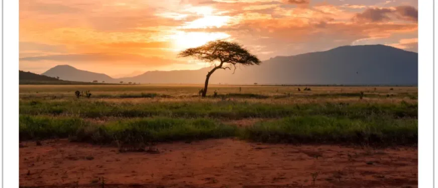 从刚果到迪拜:中国企业出海潮下的外派青年生存图鉴