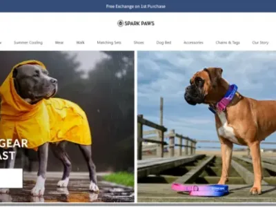又一小众赛道跑出爆品！一件狗衣服单价两三百，半年卖出5600万美金 | 品牌出海
