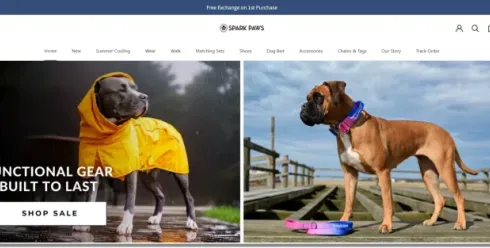 又一小众赛道跑出爆品！一件狗衣服单价两三百，半年卖出5600万美金 | 品牌出海