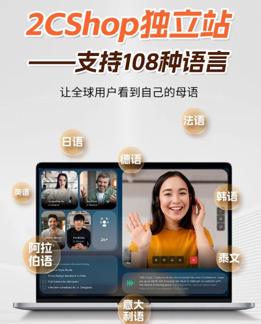 图片 年销2.3亿!这个小家电独立站,在东南亚做对了什么?