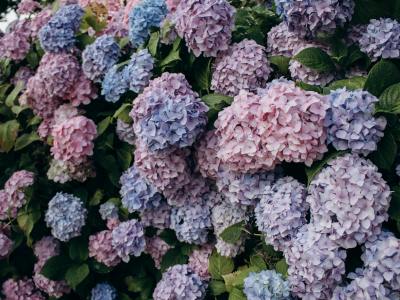 速卖通新手入门速卖通销售终极指南