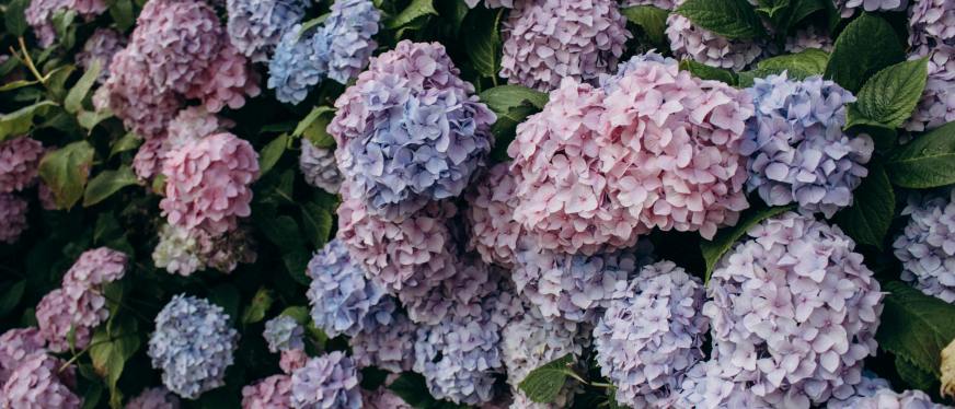 速卖通新手入门速卖通销售终极指南