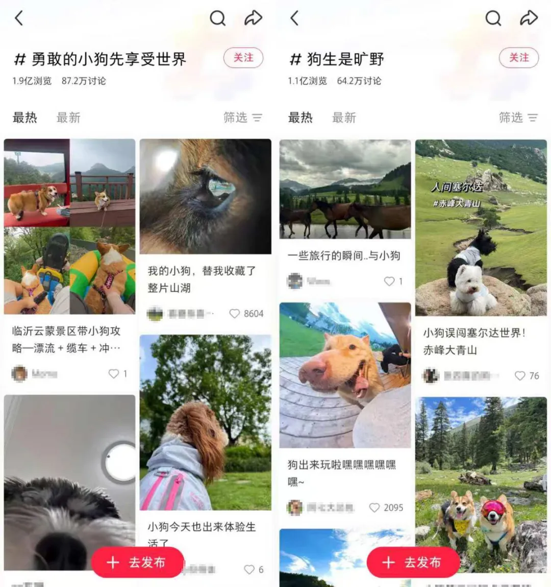 图片 “勇敢的小狗先享受世界”背后,一门新生意火了