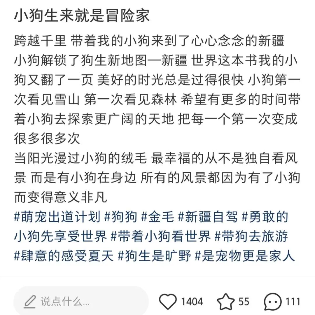 图片 “勇敢的小狗先享受世界”背后,一门新生意火了