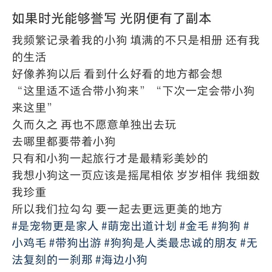图片 “勇敢的小狗先享受世界”背后,一门新生意火了
