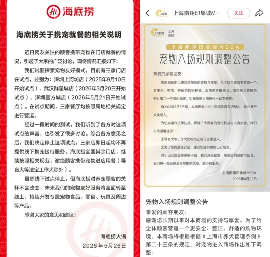 图片 “勇敢的小狗先享受世界”背后,一门新生意火了