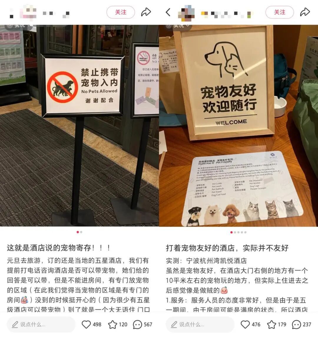 图片 “勇敢的小狗先享受世界”背后,一门新生意火了