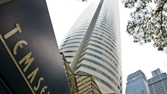 淡马锡百亿新元加码中国 AI 硬科技！跨境 3C、算力出海迎来产业链红利