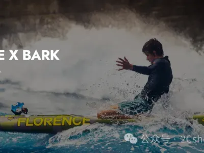 900万美金的冲浪板独立站，只靠一个核心打法