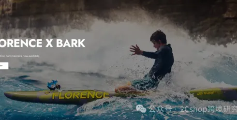 900万美金的冲浪板独立站，只靠一个核心打法