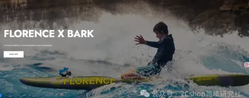 900万美金的冲浪板独立站，只靠一个核心打法