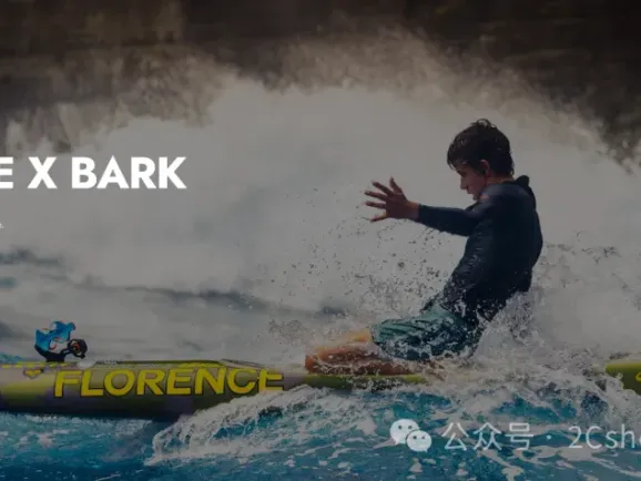 900万美金的冲浪板独立站，只靠一个核心打法