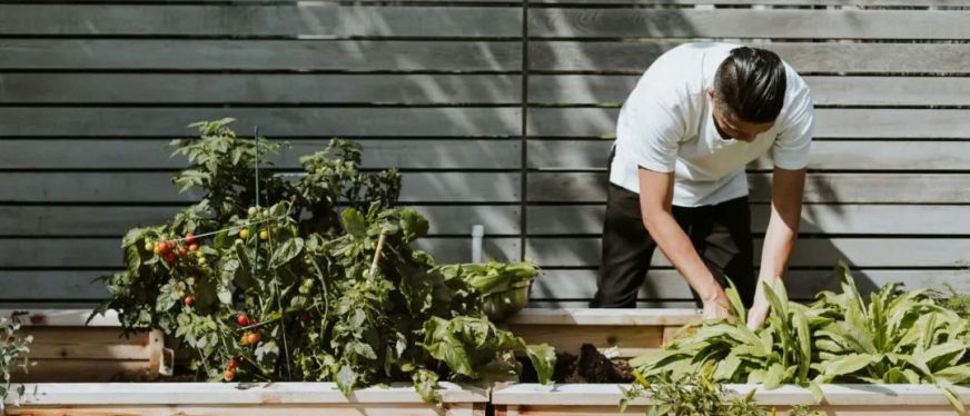 月销超10000单，海外家居园艺品持续火爆市场……