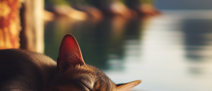 2025年出口哈萨克斯坦的十大热门品类,有你的行业吗?