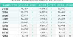 2024 年全国31省进出口贸易额排名及走势分析